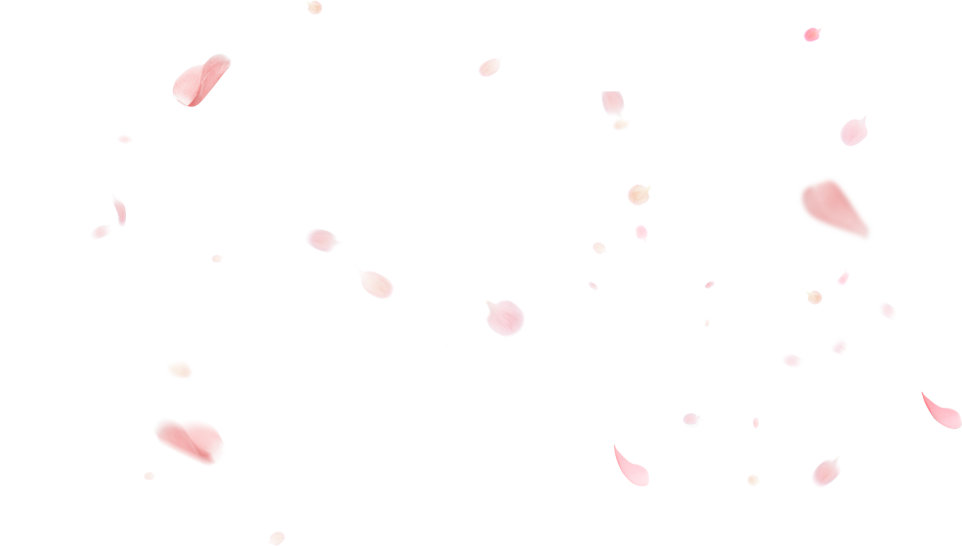 꽃잎배경
