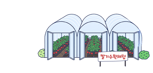 딸기농장